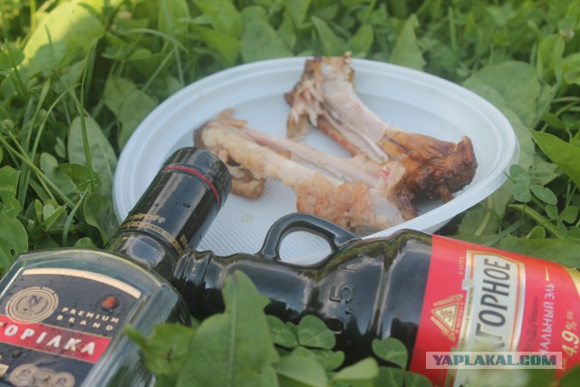 Летнее окрыление!