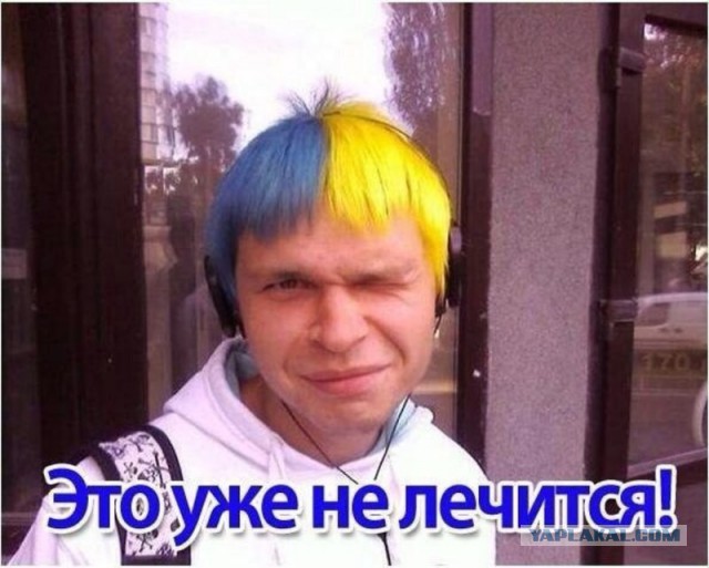 Вам срут в голову