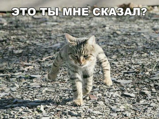 Нестандартный юмор