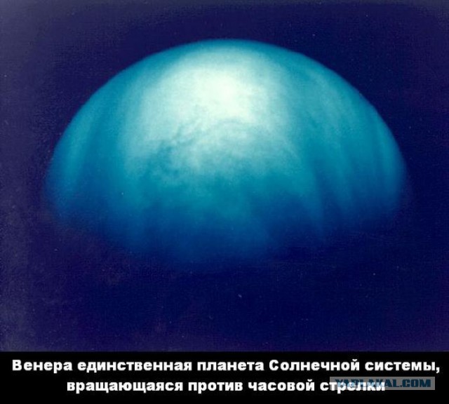 Подборка бесполезных фактов