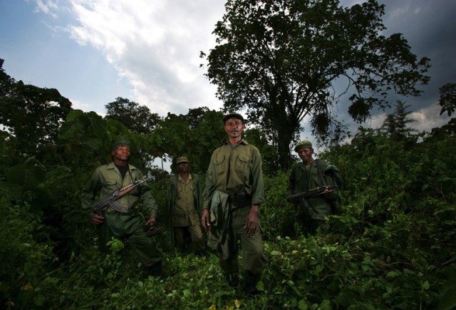 Убийство в Национальном парке Virunga (+18)