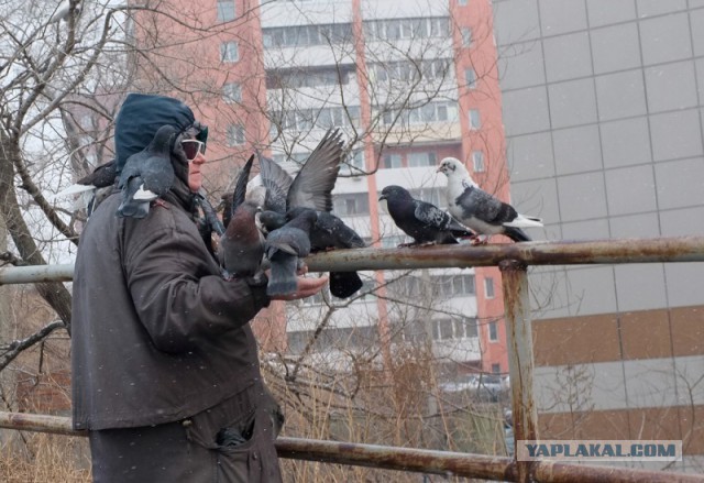 Владивосток с высоты: русский Сан-Франциско