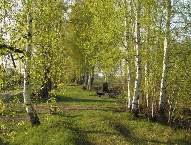 Весной в деревне