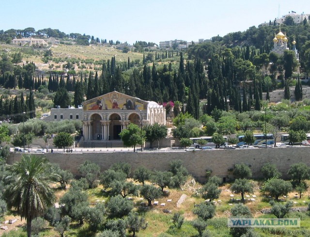 Идет он-лайн опрос ЗА/Против строительства храма именно на месте городского сквера