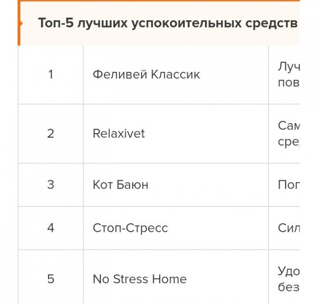 Злой и очень опасный кот