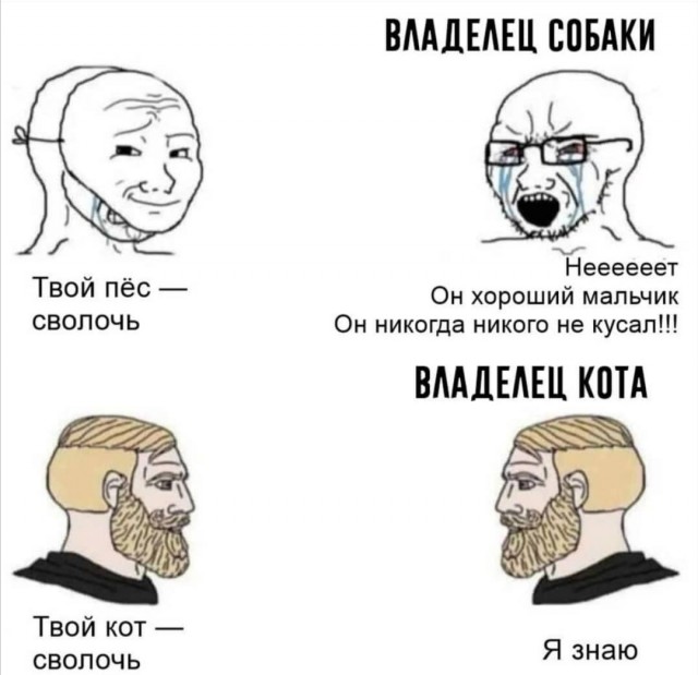 Бредзона 06.08.2020