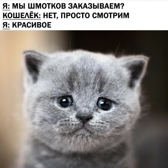 Картинки и мемы для настроения 19.08.2021