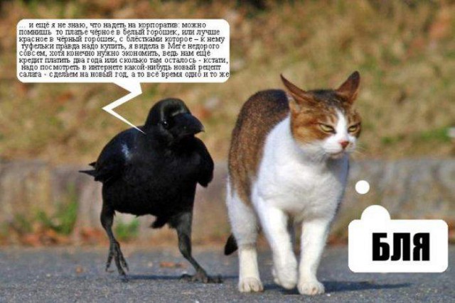 Картинки и мемы для настроения 02.02.2022