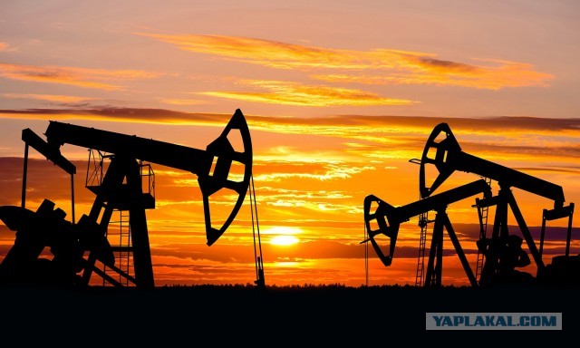 Shell объявила об отказе от российских нефти и газа