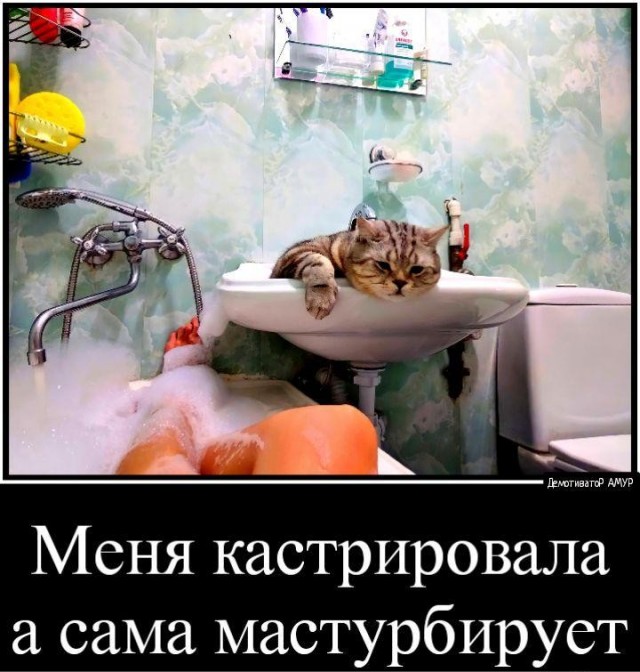 35 картинок разных 28.03.2022