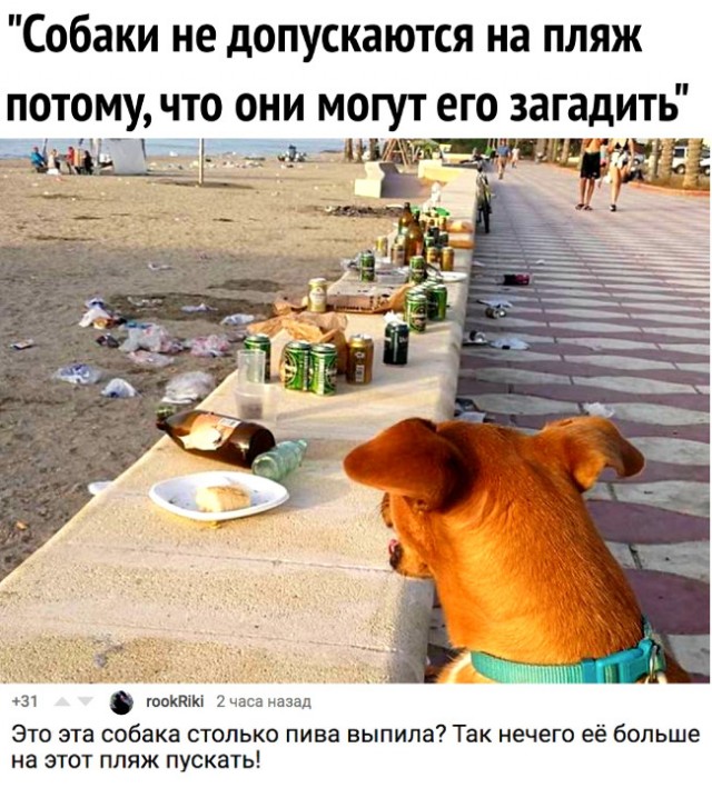 Мемы на конец июля