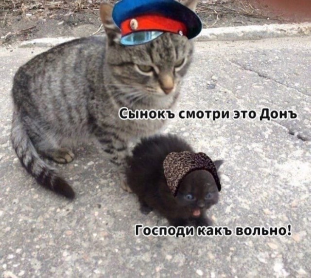 Народная меДИЧина 5023