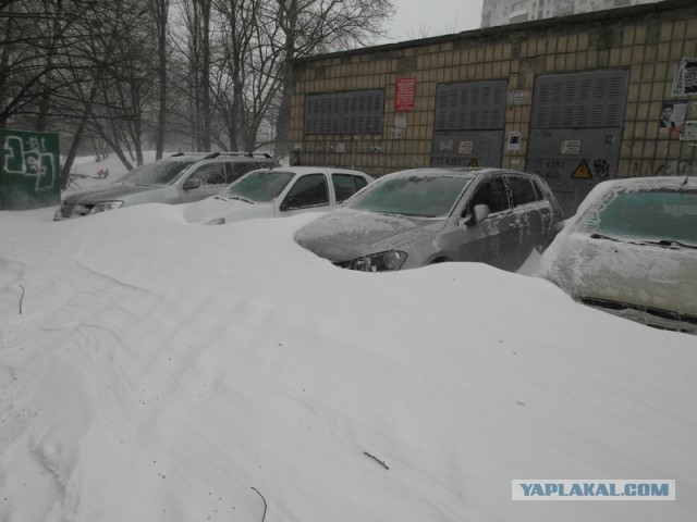 23 марта. Киев. Весна.