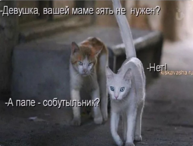 Победная поступь идиотизма по планете – том 12
