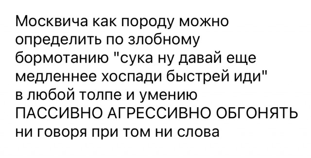 Он бежал по улице изо всех сил, но москвичи продолжали идти быстрее его