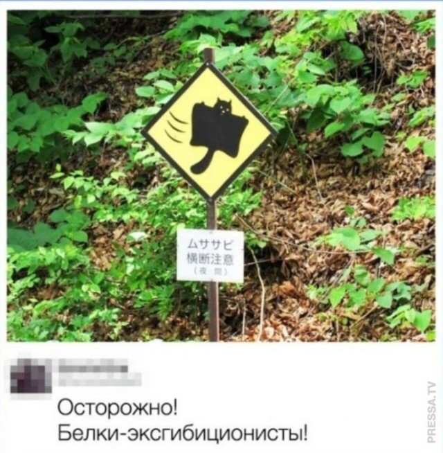 Веселые картинки к понедельнику (29.07)