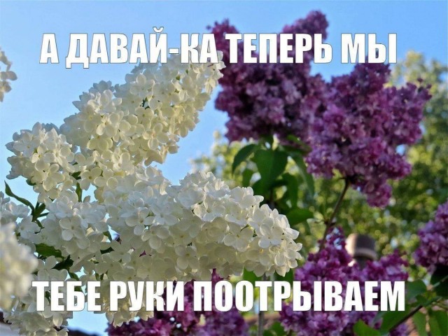 Всего понемногу. От 07.08
