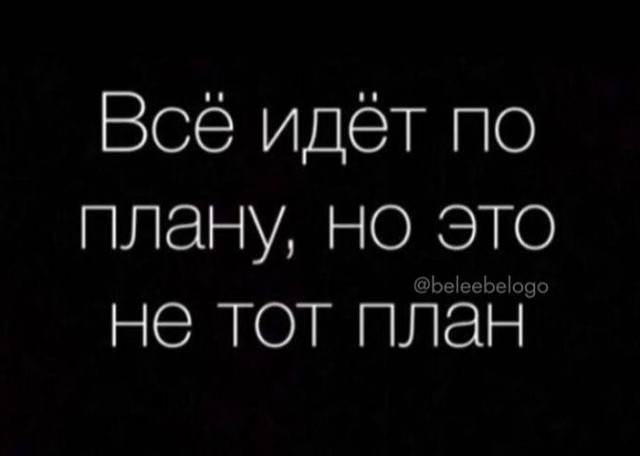 Всего понемногу. От 27.02.2025