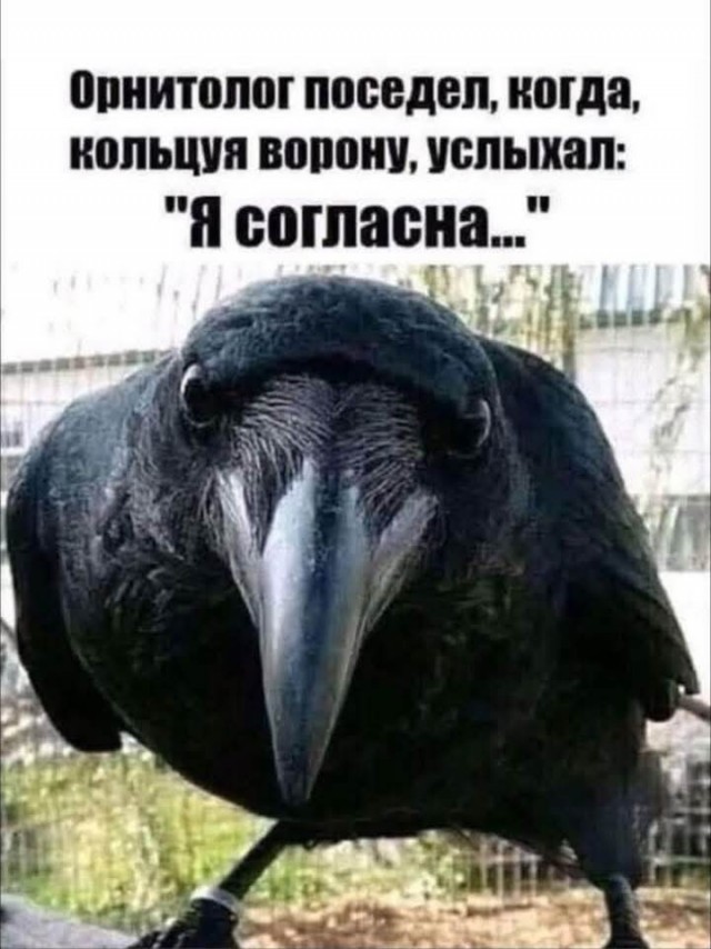 Маленькая пятница 12.03.25
