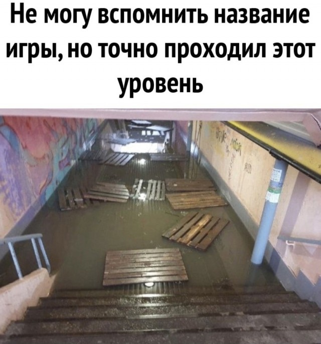 20059884.jpg