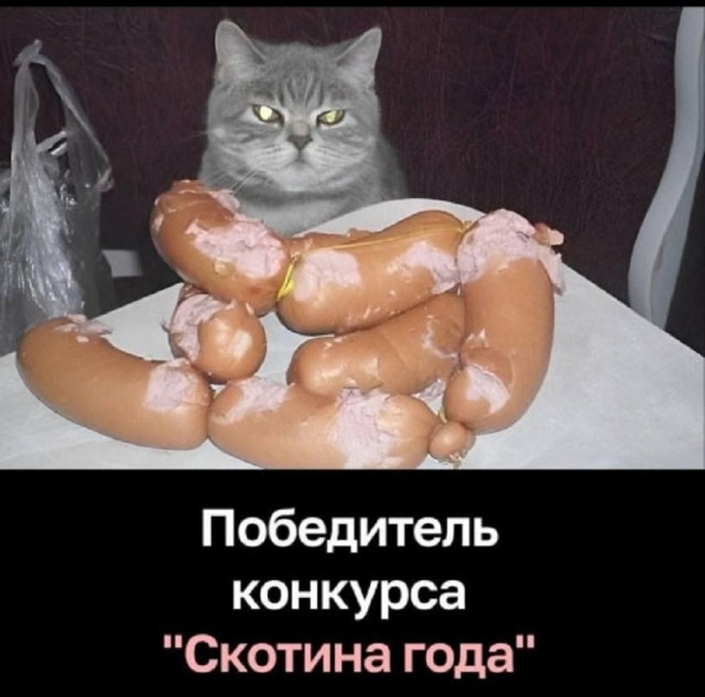 Так себе картинки 22.07.25