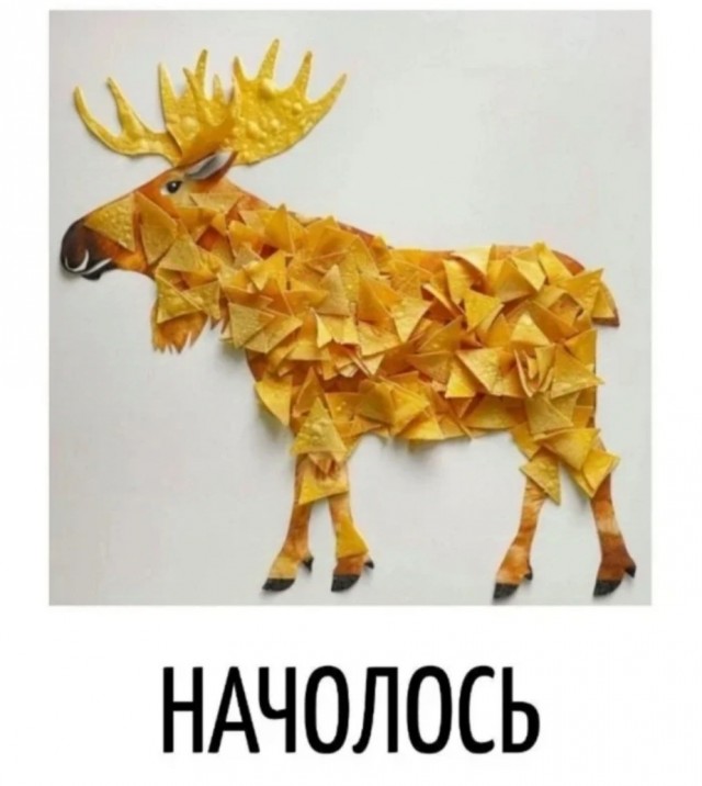 Международная панорама