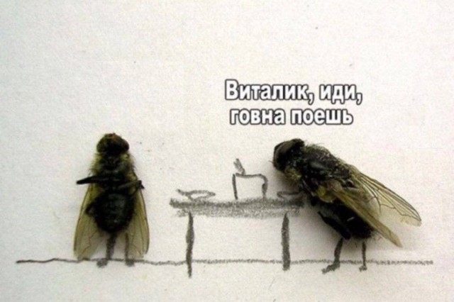 Ноябрь.