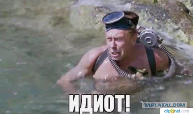 В Бразилии львица убила молодого человека, проникшего в ее вольер в зоопарке
