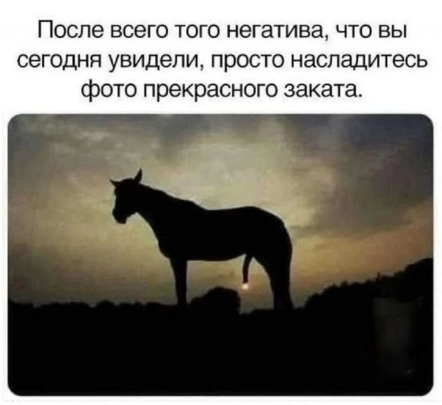 Так себе картинки 07.12.25