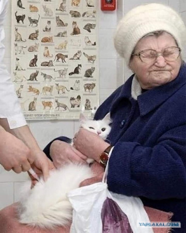 Лечите бабульку