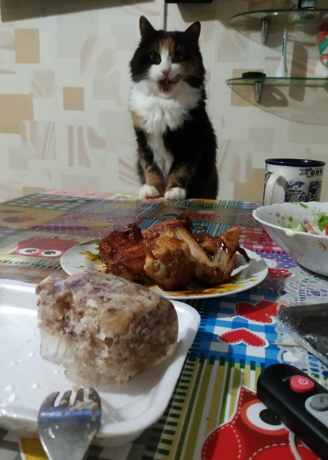 Вот так просто съешь и мне не дашь?