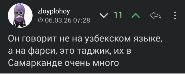 Иерусалимская черепаха пострадала от иранской баллистической ракеты