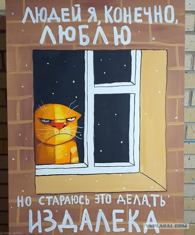 Отказываюсь понимать!