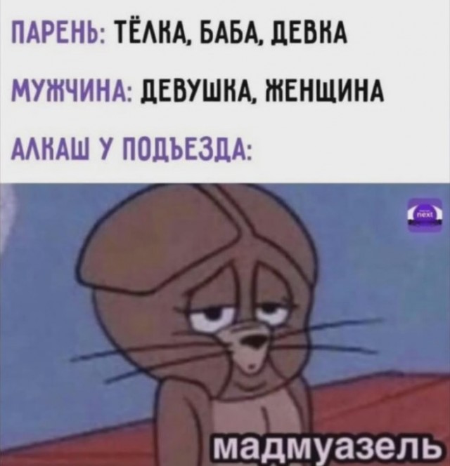 Картиночки, баянчики 15 июня