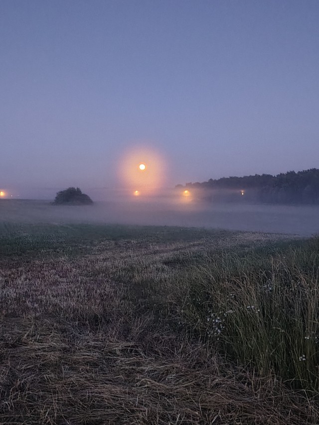 Одно фото