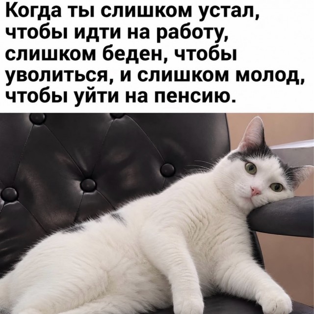 Веселое настроение в картинках 18.08.26