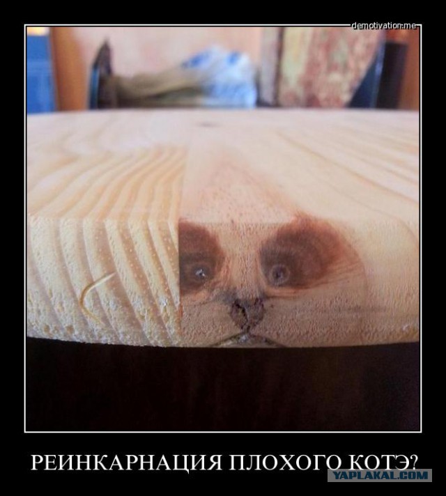 10 невероятных рассказов маленьких детей