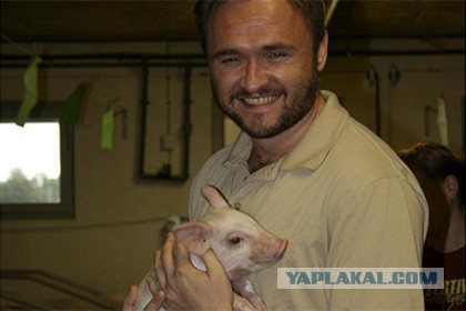 Нравственность в Европе растет