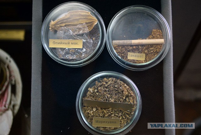 Медаль за пьянство, людоедство и "Черная кошка"