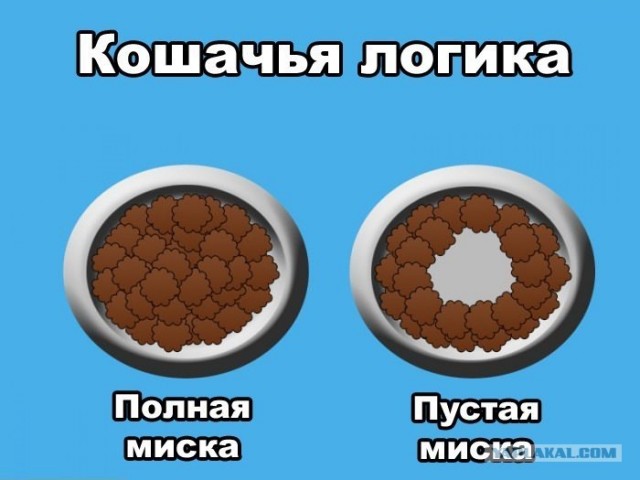 Логика...