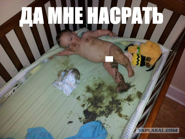 Кто к нам приедет на парад 9 мая
