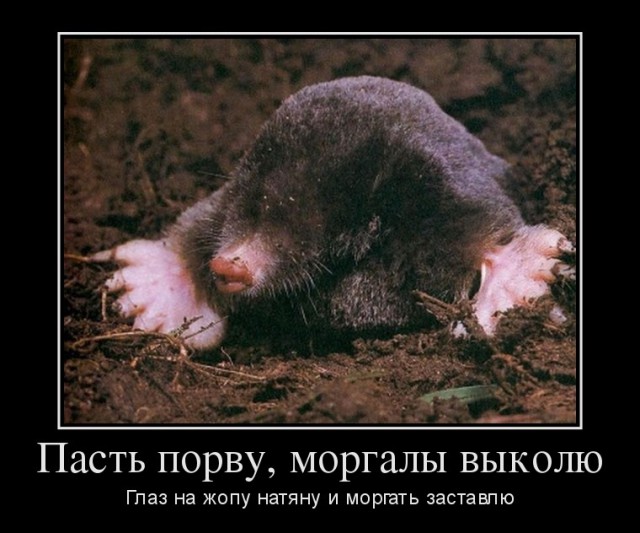 Как бы вас звали у индейцев