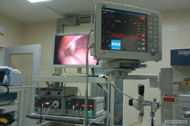 Как кто провёл лето