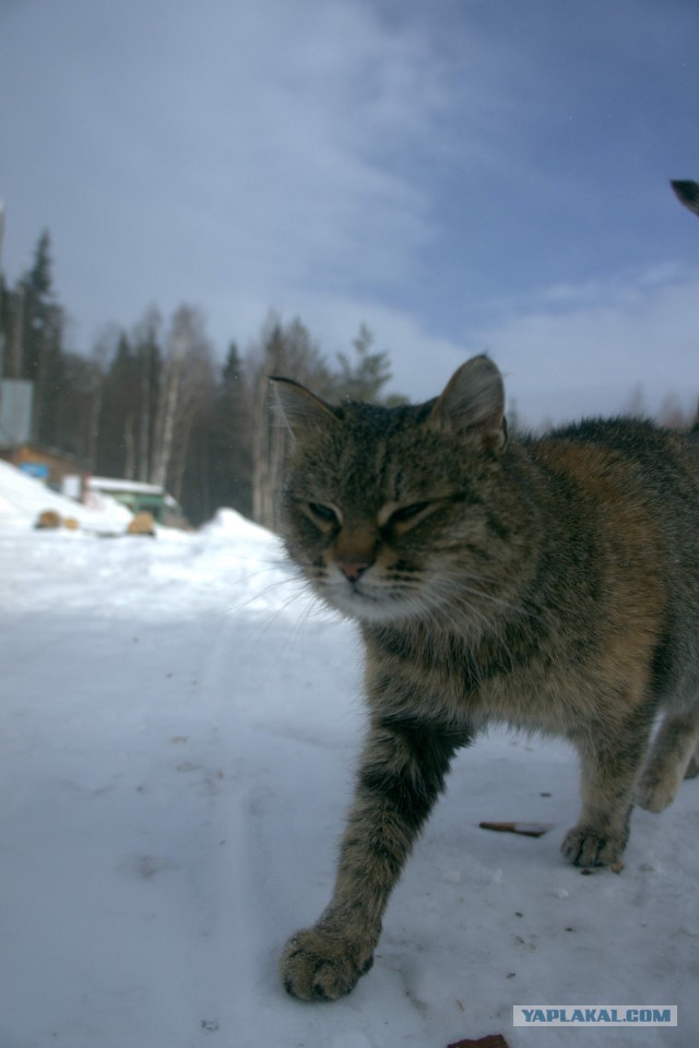 Прибыль