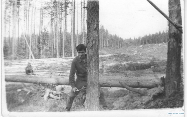 Мото-швейные войска