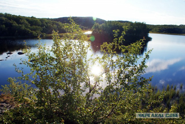 Морская романтика