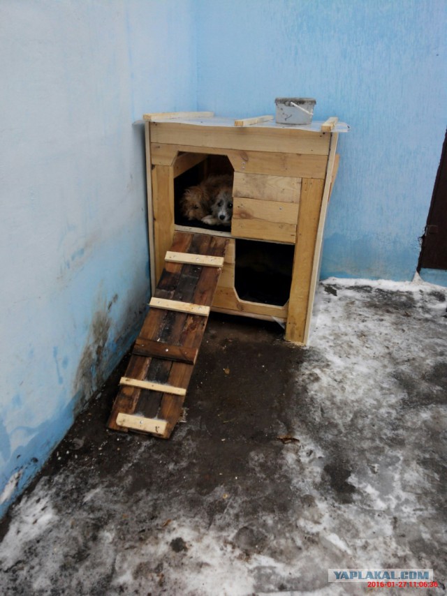 Будка для собаки своими руками.