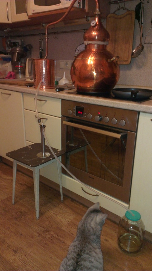 Мама хочет сдать меня в больницу