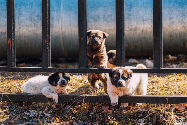 Подборка интересных и веселых фото