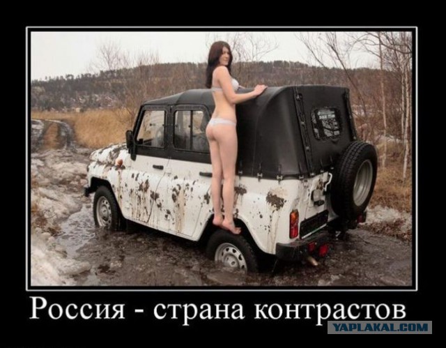 Автоприколы 4х4